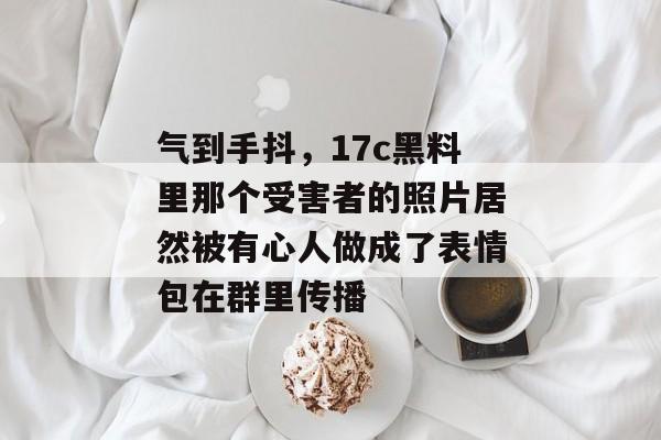 气到手抖，17c黑料里那个受害者的照片居然被有心人做成了表情包在群里传播