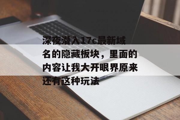 深夜潜入17c最新域名的隐藏板块，里面的内容让我大开眼界原来还有这种玩法